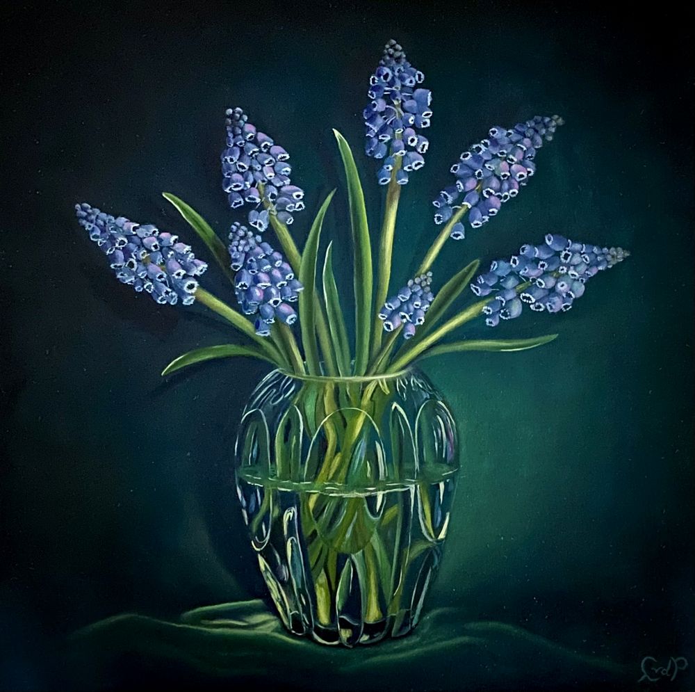 Muscari